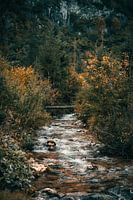 Water flow in the Austrian mountains in autumn.