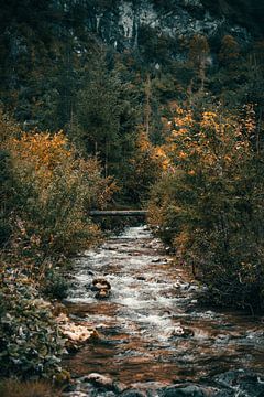 Water flow in the Austrian mountains in autumn. by Marjolijn Barten