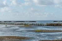 Rijsdammen in de deense waddenzee