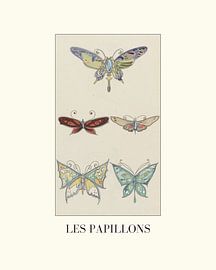 Les papillons by NOONY