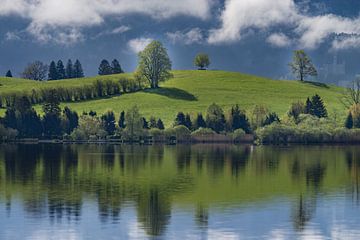 Lente aan de Hopfensee van Walter G. Allgöwer