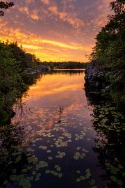 Magische zonsondergang over Summer Lake van Nicklas Gustafsson