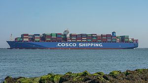 Containerschiff von COSCO Shipping Andes.