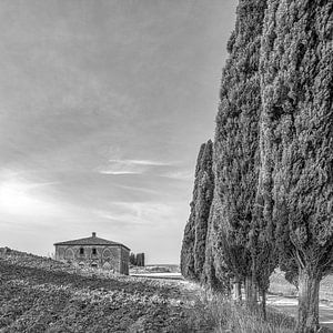 Italië in vierkant zwart wit, Lucignano d'Asso - Toscane van Teun Ruijters