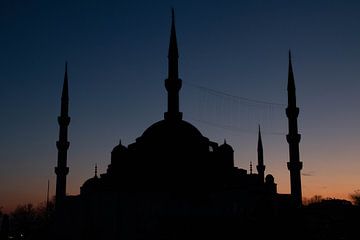 Blue Mosque Istanbul by Joyce den Hollander