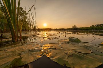 Zonsondergang op de Linge bij Gellicum in de Betuwe van Martien Janssen