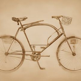 Vergane Eeuwen Blauwdruk Kronieken van Biljana Zdravkovic