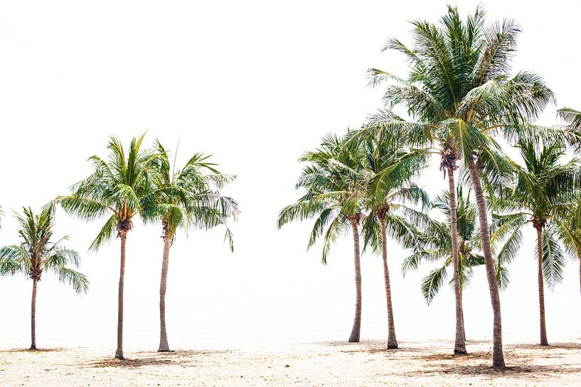 Palmenstrand van Simone Karis