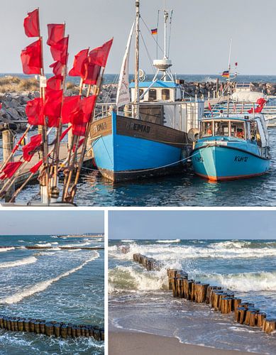 Dreams of the sea: harbor in Kühlungsborn