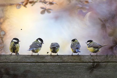 Maanlicht van Teuni's Dreams of Reality