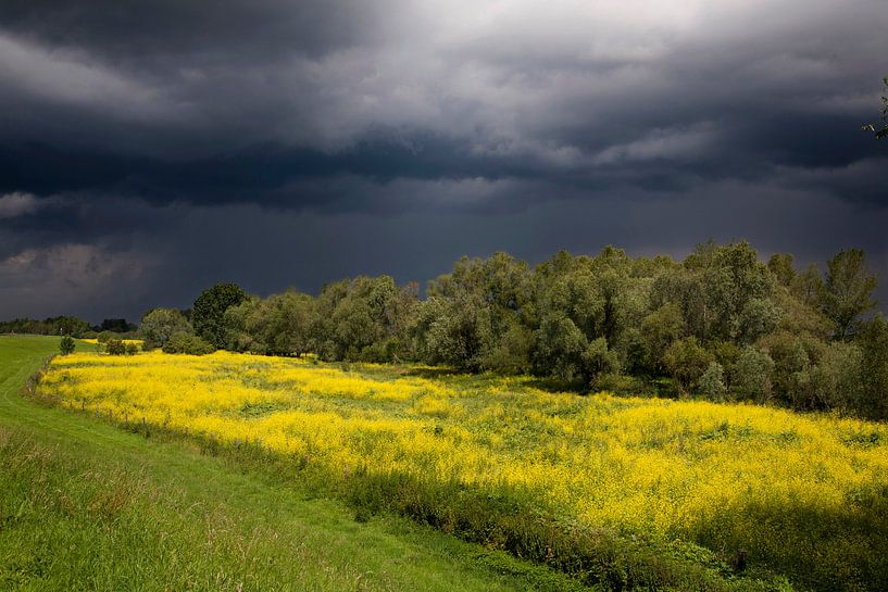 Onweerswolken boven uiterwaarden by Ger Loeffen