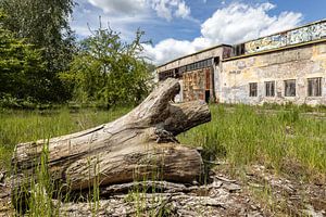 Lost Place Alter Flugplatz Rangsdorf - riesige Wartungshalle