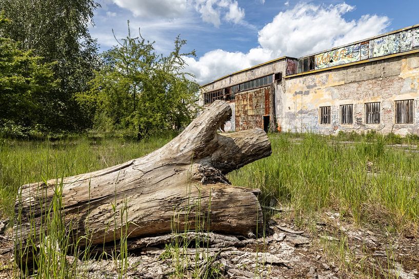 Lost Place Alter Flugplatz Rangsdorf - riesige Wartungshalle von Frank Herrmann