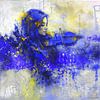 Violist van pol ledent