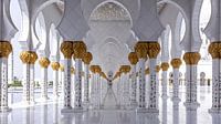 Mosquée Sheikh Zayed - Abu Dhabi