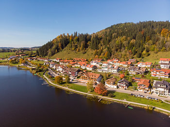 Aerial view of hops at the lake