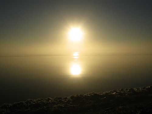 Morning sun