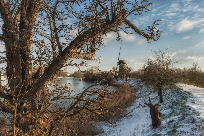 Windmill de Vrijheid Beesd Betuwe by Moetwil en van Dijk - Fotografie