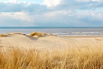 Scheveningen duinen van Micky Bish