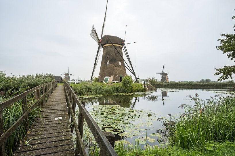 Kinderdijk in holland by Marcel Derweduwen