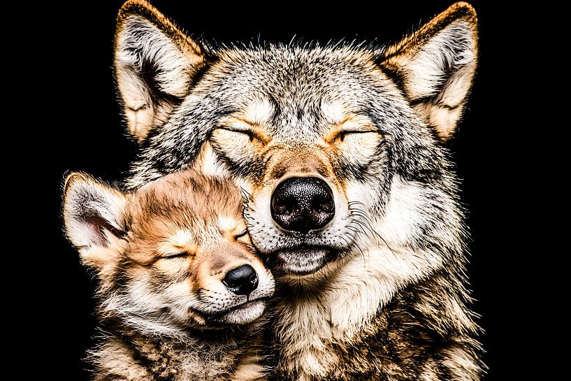 Portrait intime d'un loup et d'un chiot par Art & Soul Creations