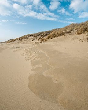 Duinen in zeeland van Hendrik Karremans