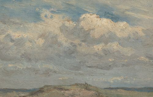 Duintop met op de achtergrond de zee