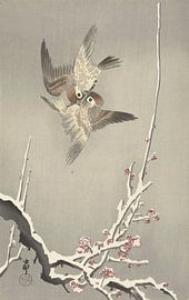 Sparrow and snowy plum tree of Ohara Koson