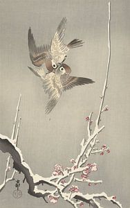 Sperling und der verschneite Pflaumenbaum des Ohara Koson