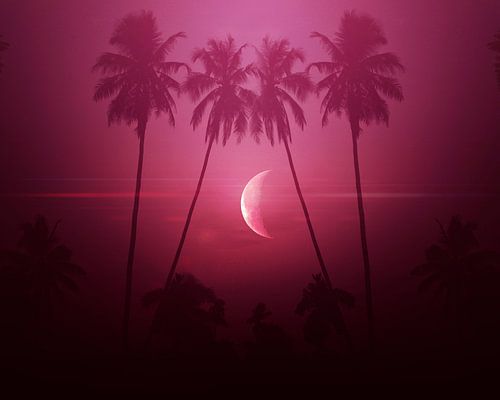 Le paradis de la Lune pourpre