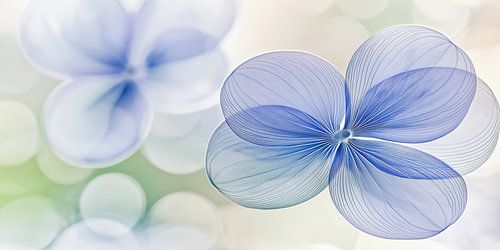 Bloem in lila en groen