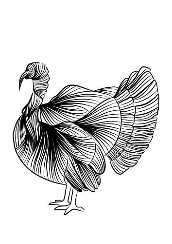 Poster dinde - noir et blanc - zoo pour enfants