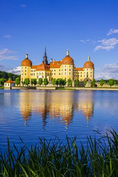 Kasteel Moritzburg van Walter G. Allgöwer