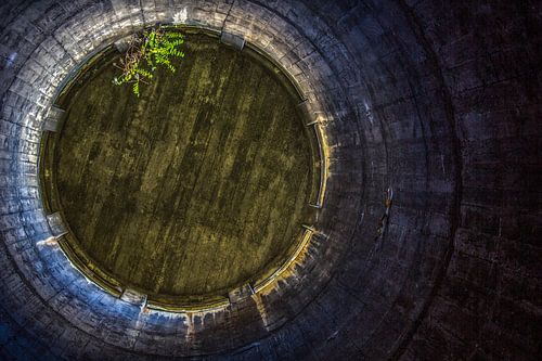  tuyau d'usine sur Mirjam Dijkstra