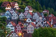 Half-timbered houses in Schiltach, Baden-Württemberg, Germany by Henk Meijer Photography thumbnail