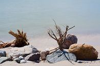 Stilleben am Strand von WeVaFotografie Miniaturansicht