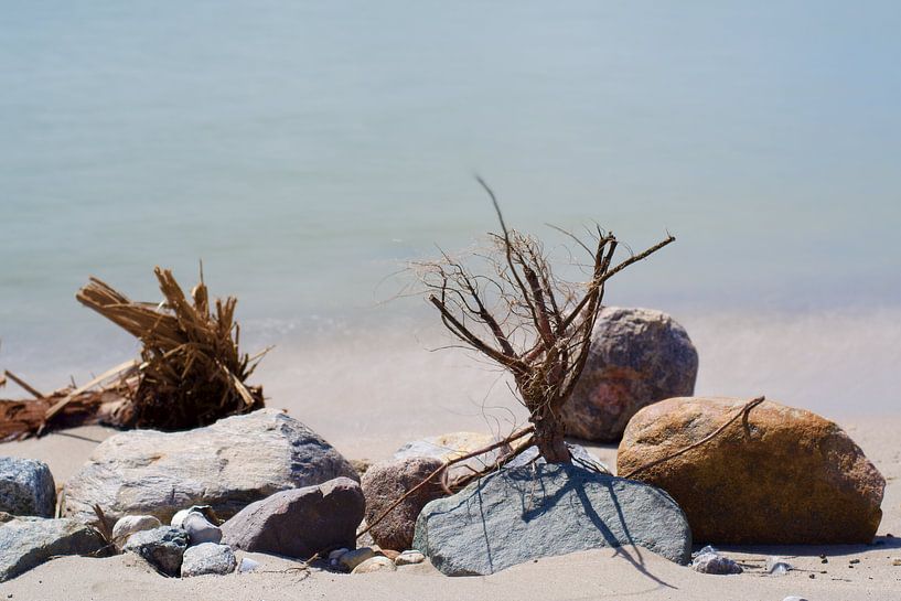 Stilleben am Strand von WeVaFotografie