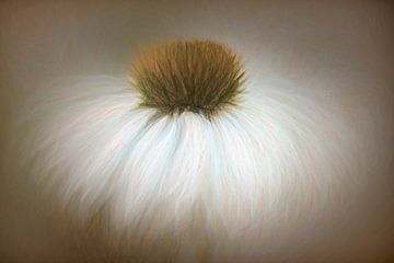 Blume in traumhaften Atmosphären von Francis Dost