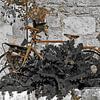 Rust roest van ArtelierGerdah