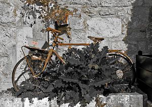 Rust roest