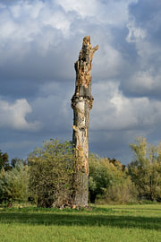 the Urdenbacher Kämpe nature reserve, with its autumnal scenery, in the Rhine floodplains near Düsseldorf-Urdenbach