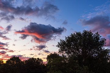 Bomen en lucht met wolken bij zonsopgang van Rico Ködder