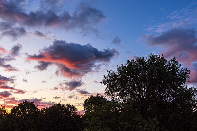 Trees and sky with clouds at sunrise by Rico Ködder