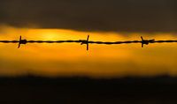 Zonsondergang prikkeldraad 
