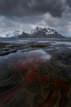 Ancient earth by Roelie Steinmann