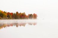 Autumn colours by Frank Peters thumbnail