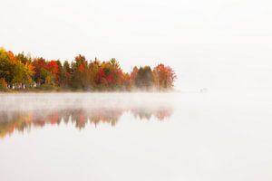 Herfstkleuren van Frank Peters