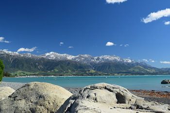 Landschap in Kaikoura - Nieuw Zeeland