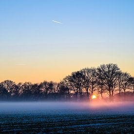 Sonnenuntergang im Nebel von Janine Müller