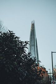 The Shard van Esma Vurgun